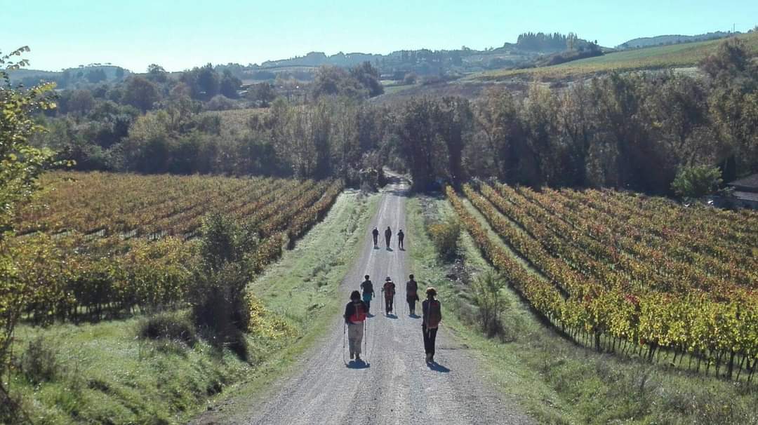 Percorsi. Perché anche la formazione è un cammino