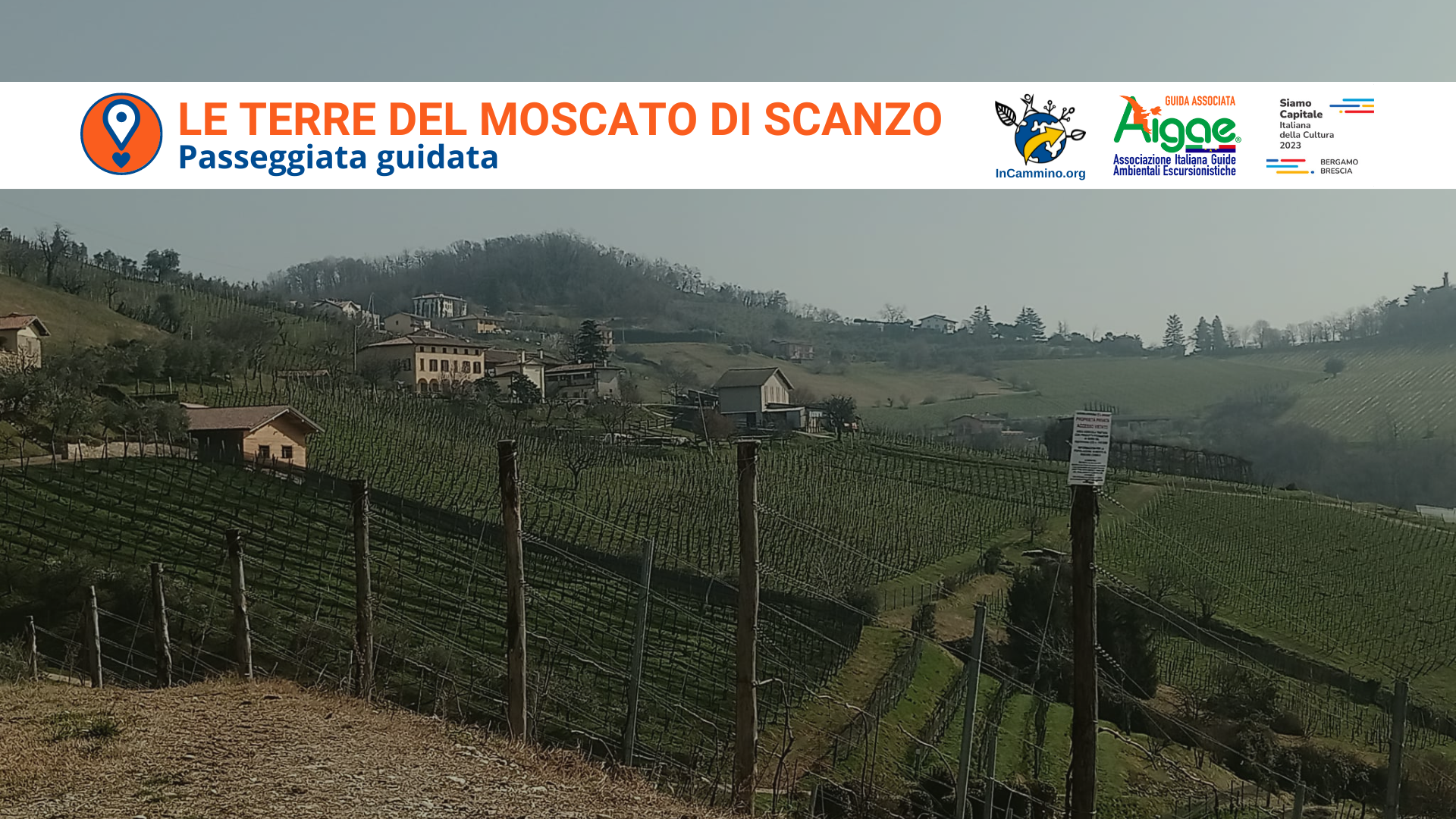 Le terre del Moscato di Scanzo